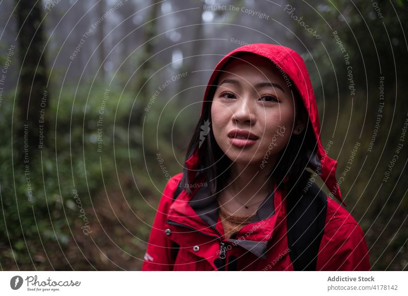 Young ethnic woman hiking in forest in rainy weather hike nature explore traveler stairway activity young asian female adventure journey lifestyle wanderlust