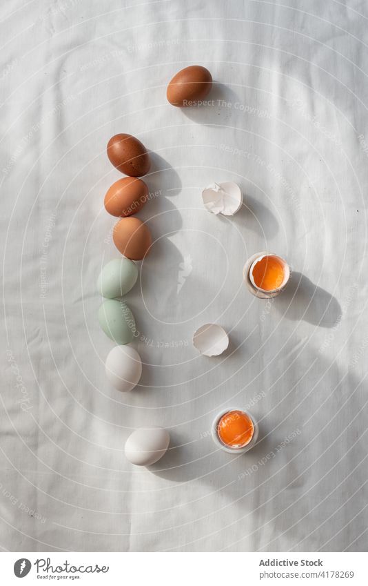 Colorful eggs on white table row kitchen order yolk raw easter food beige brown colorful tradition arrangement ingredient cuisine culinary meal nutrition