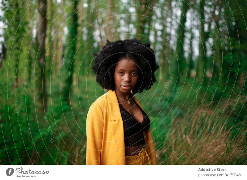 Stylish black woman standing in green forest style color yellow bright trendy afro nature curly hair ethnic african american female young appearance confident