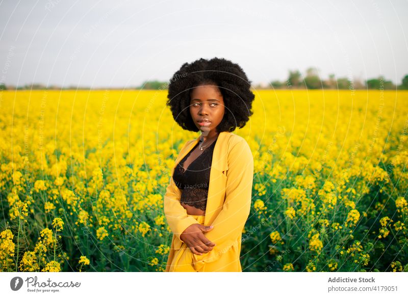 Black woman standing in blooming yellow field flower colorful vibrant pensive bright blossom young female african american black ethnic afro curly hair