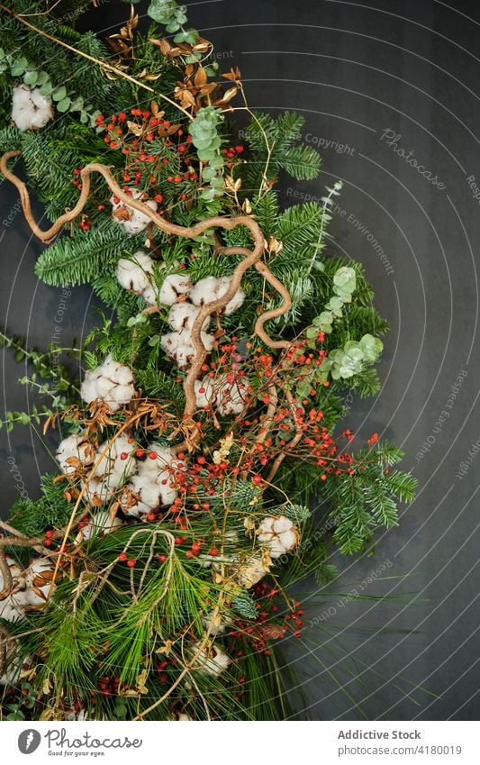 Creative Christmas wreath and plants in modern flat christmas wall home green holiday xmas decoration decorative natural design cozy festive creative house