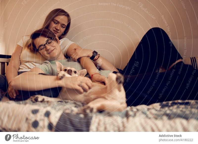 Loving lesbian couple relaxing with dog on bed women tender love lgbt weekend cute content relationship girlfriend companion bonding home together cuddle