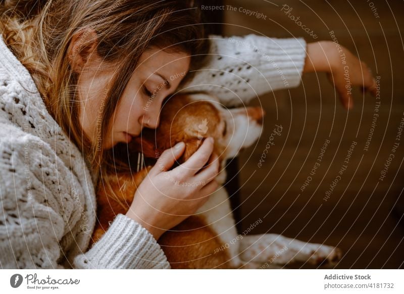 Young woman cuddling dog and sleeping on couch hug sofa owner together love friend relax nap purebred pet adorable female young warm clothes sweater embrace