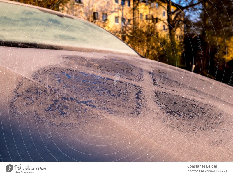 Car with hoarfrost and frost in morning sun in front of apartment house. car Car Window Mature Car Hood glitter sparkle morning light Sunrise Cold Vehicle