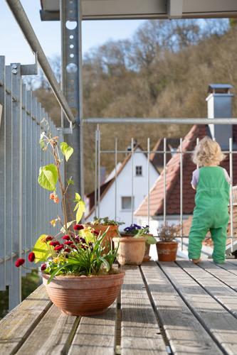 Balcony with kid in lockdown Spring Toddler Child home office Break plants gardening Flowerpot Sunday free time Family
