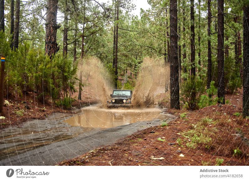 Off roader car driving through dirt road in forest off road drive puddle rural vehicle engine muddy road trip countryside modern woodland daylight nature