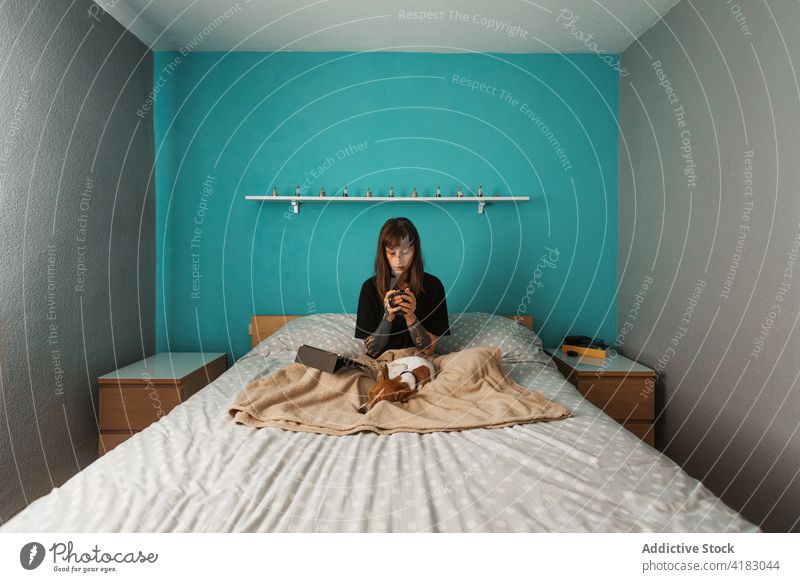 Woman with tea using tablet on bed near cute dog woman rest watching comfort pet friend serene relax adorable sit at home cozy together owner hot free time