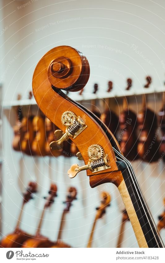 Violin scroll against rack with modern musical instruments violin acoustic collection classic string peg tune sound professional melody skill rehearsal