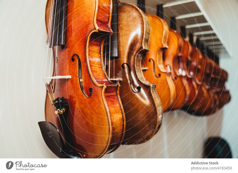 Rack with violins in musical instruments store collection acoustic assorted rack hang sound professional dark wood modern melody string play classic tune skill