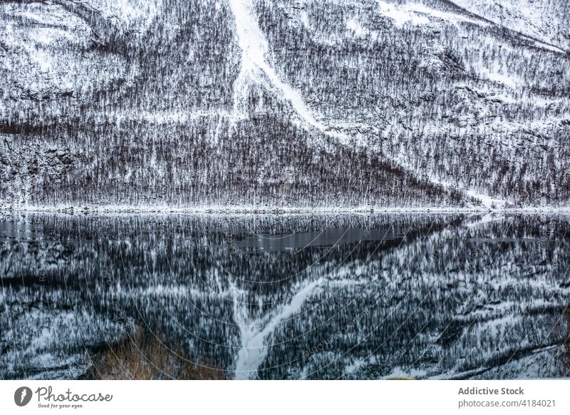 Lake in front of mountain slope in winter lake reflection mirror water scenery snow smooth norway surface tranquil leafless tree environment landscape peaceful