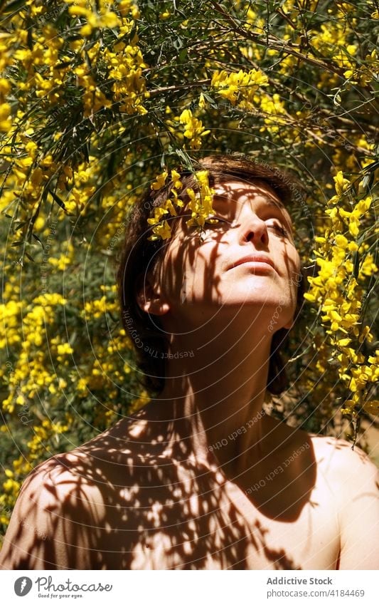 Dreamy lady enjoying smell of blooming tree with closed eyes in garden woman eyes closed relax harmony nature idyllic flower blossom female adult bare shoulders