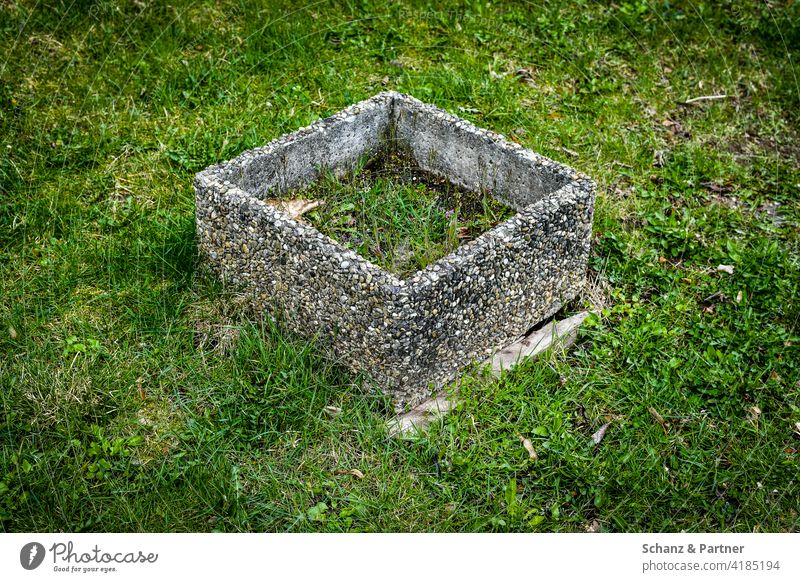 Concrete planter with grass City man urban concrete desert Nature nature conservation plant tubs Grass Lawn Meadow penned demarcated Town Weathered Unkempt