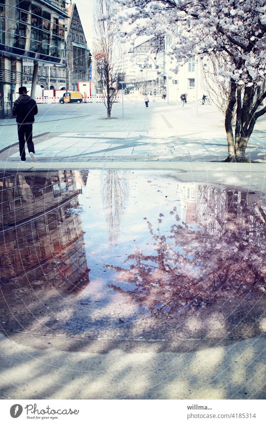 Spring in the city blossom tree downtown Almond tree reflection Puddle Marketplace Places Passers-by Blossoming spring blossoms City Spring urban houses