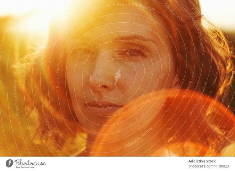 Dreamy woman looking at camera against sunset sky relax nature sunlight tranquil contemplate thoughtful grace calm golden hour peaceful female adult bright