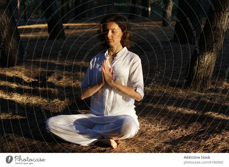 Relaxed young woman with mudra hands meditating in Padmasana pose in park meditate padmasana lotus pose yoga forest recreation relax eyes closed harmony