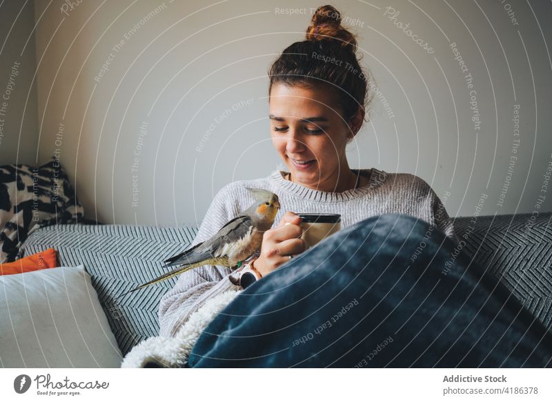 Positive young woman chilling on couch with cute weiro bird relax sofa happy together hot drink cockatiel owner free time rest smile beverage female sweater