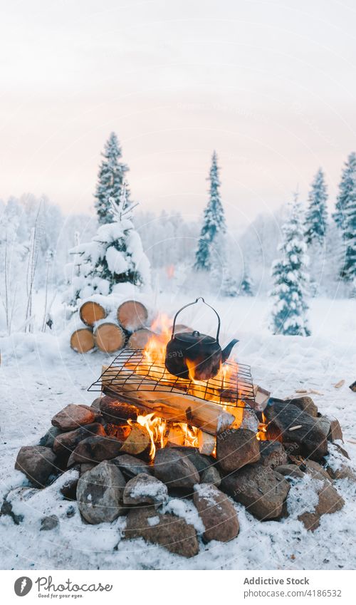 Kettle placed on campfires in snowy woods at sundown bonfire winter forest teapot sunset nature tree coniferous cloudy sky frost twilight cold field harmony