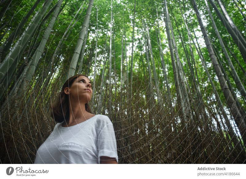 Young caucasian female traveler in Arashiyama Bamboo Grove forest 30s woman Japan Bamboo forest