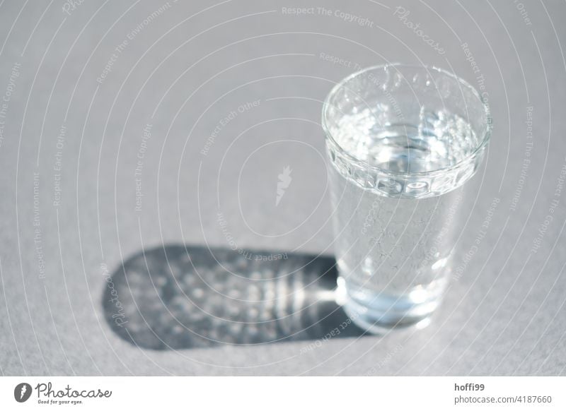 A glass of water Water Glass reflection Beverage Tumbler Refreshment Thirst Fresh Cold drink Fluid Drinking Drinking water Healthy Mineral water Carbonic acid