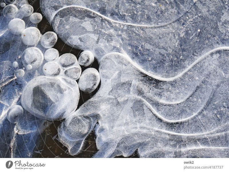Frozen movement Ice Frost Waves Freeze Cold Winter Nature Environment Line Sphere Close-up Detail Air bubble Exterior shot Abstract Pattern