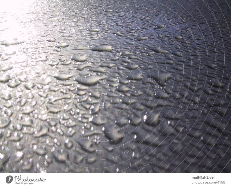 rain Rain Drops of water Structures and shapes Sun