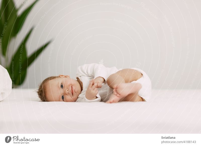 The newborn lies in a snow-white bed under the covers, laughs and indulges baby family fun sitting toy child healthy home snow white interior sleep boy one leaf