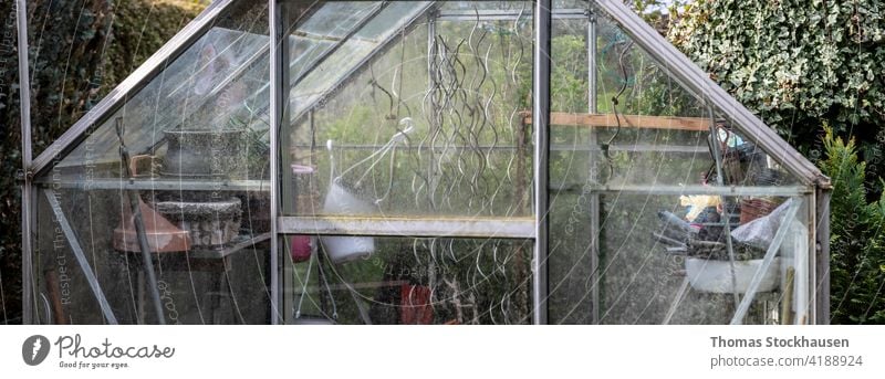 glass greenhouse in an allotment garden, equipment inside agriculture botany cultivation ecology environment farming flower food fresh gardening grow growing