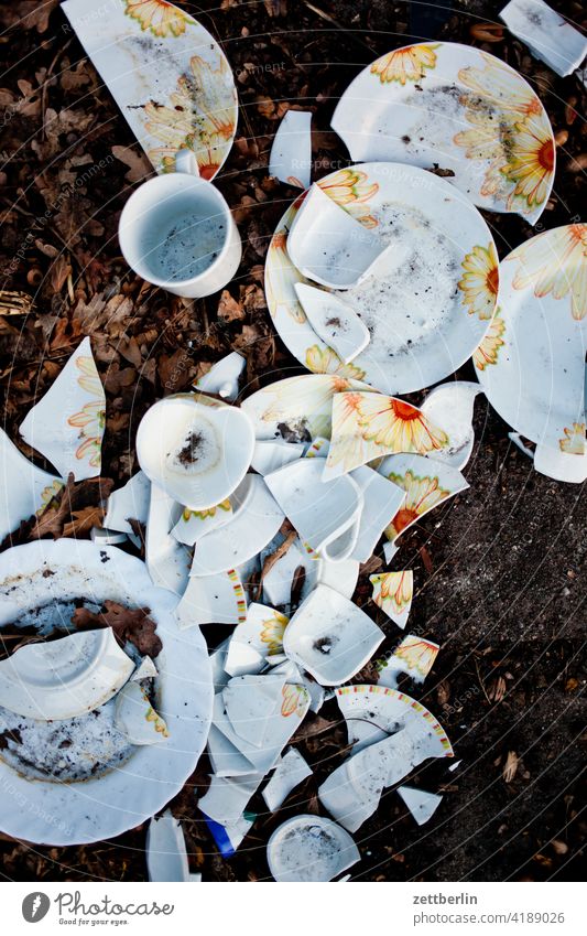 Broken dishes waste havoc Crockery Happy household contents Trash polterabend Porcelain shards Cup Plate prosperity household trash Shatter Civilization