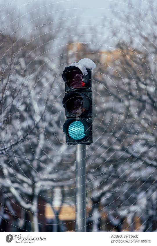 Green traffic light against snowy trees in winter city stop prohibit forbidden danger warning symbol town post metal geometry symmetry cold season material