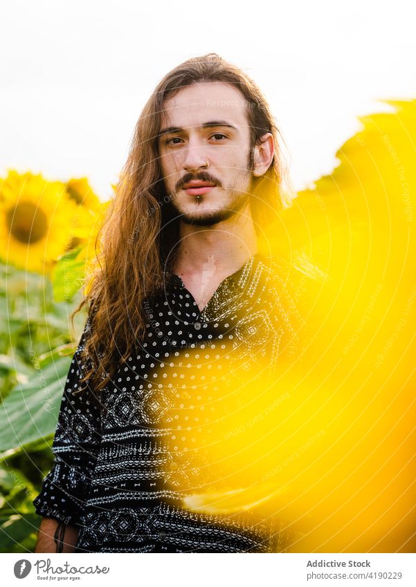 Man in sunflower field in summer man serene carefree yellow bloom meadow male stand harmony countryside tranquil peaceful nature idyllic freedom blossom enjoy