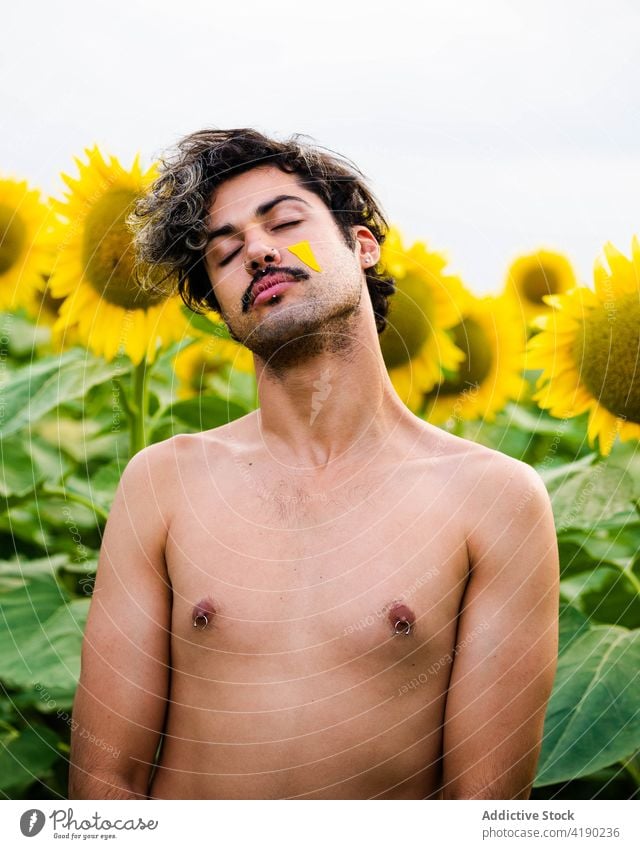 Calm man standing in sunflower field summer serene harmony yellow petal natural male carefree bloom meadow countryside naked torso shirtless tranquil peaceful