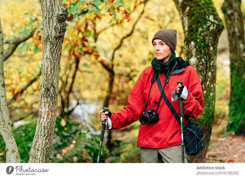 Young female traveler in outerwear practicing Nordic hiking in forest woman nordic walking hike autumn activity adventure sporty photographer positive nature