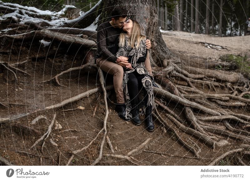 Smiling couple embracing in forest sitting on tree roots tender winter positive gentle love embrace bonding romantic girlfriend boyfriend fondness together