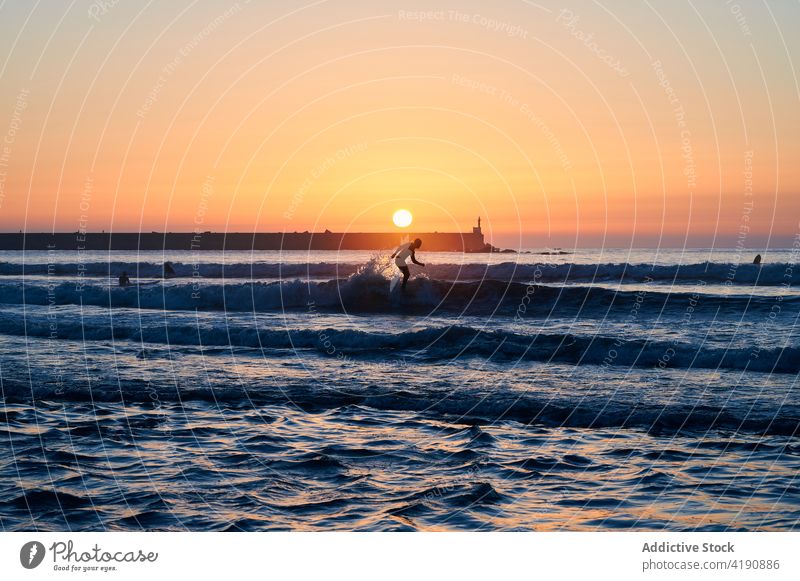 People enjoying surfboarding in sea at sunset people silhouette surfer tourist sundown wave swim seascape surfing tourism water ocean sunlight sport scenic
