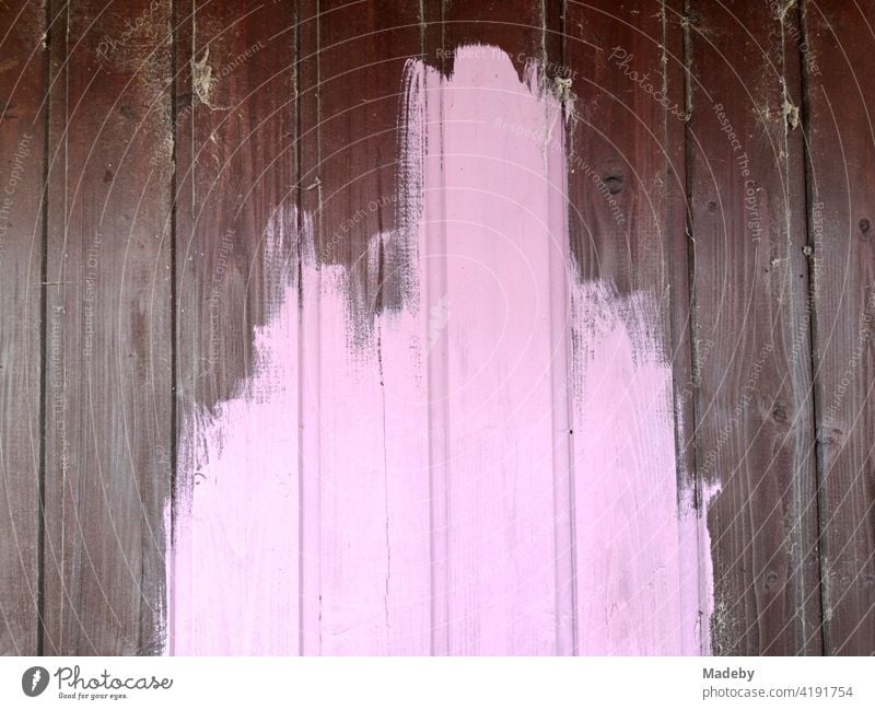 Pink paint on a brown garden hut in the harbour garden at the old harbour in Offenbach on the Main in Hesse Hut Wooden hut garden shed Wooden wall Brown pink