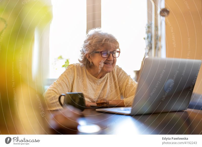 Happy senior woman using laptop at home real people candid genuine mature female Caucasian elderly house old aging domestic life grandmother pensioner