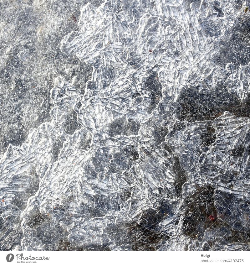 Order in chaos - patterns and structures in an ice surface Ice Frozen surface Winter chill Pattern Ice structure Exceptional Cold Structures and shapes Frost