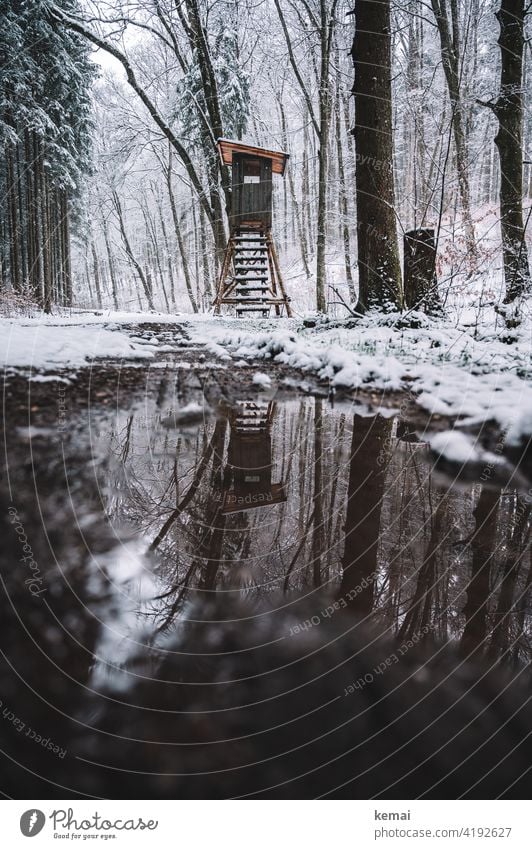 High seat in the forest in winter Winter Forest Hunting Blind Hunting stand Jägerhochsitz off Snow Puddle reflection Cold Brown White