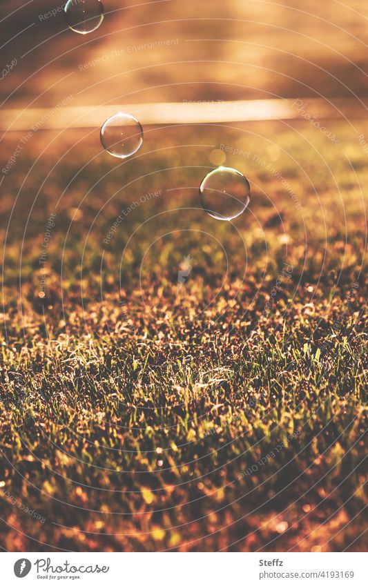 three bubbles landing on the grass soap bubbles Hover Easy Ease hovering weightless floating bubbles untroubled cheerful Spheres Happiness Light heartedness