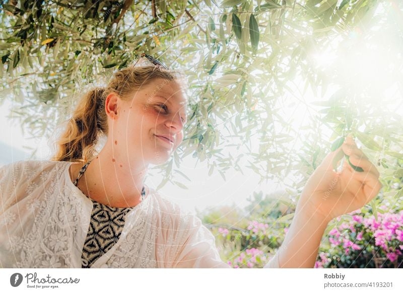 Young woman under olive tree in sunshine Olive tree Blonde Sun Sunlight Tree Back-light portrait Smiling pretty vacation Summer Summer Feeling Exterior shot