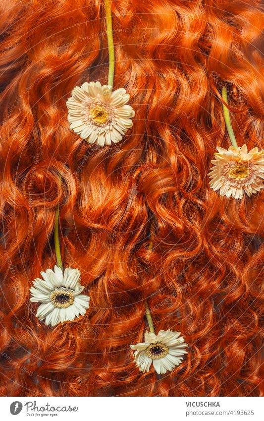 Beautiful curly red hair texture with daisies flowers. Top view. Hair care  background beautiful top view hair care backgrounds beauty close-up color design