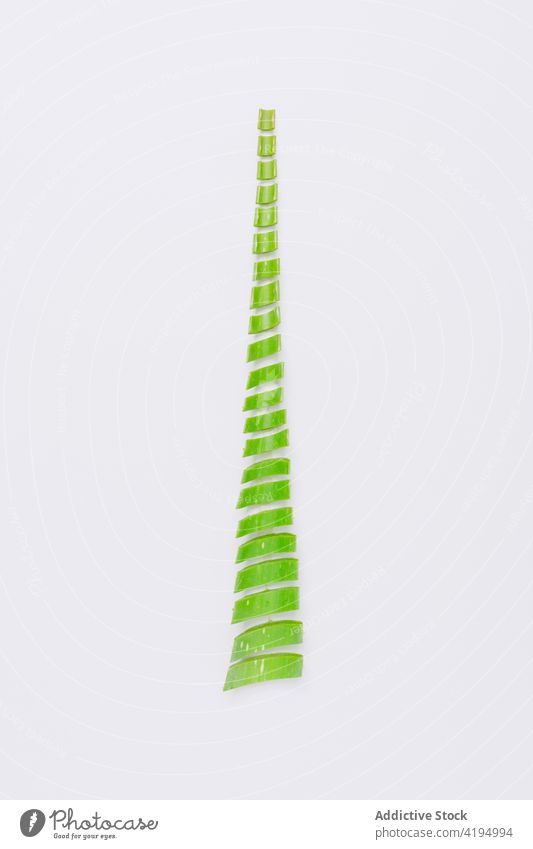 Cut Aloe vera leaf on white background aloe cut christmas tree concept new year holiday fir plant evergreen fresh slice bright natural organic ribbed uneven