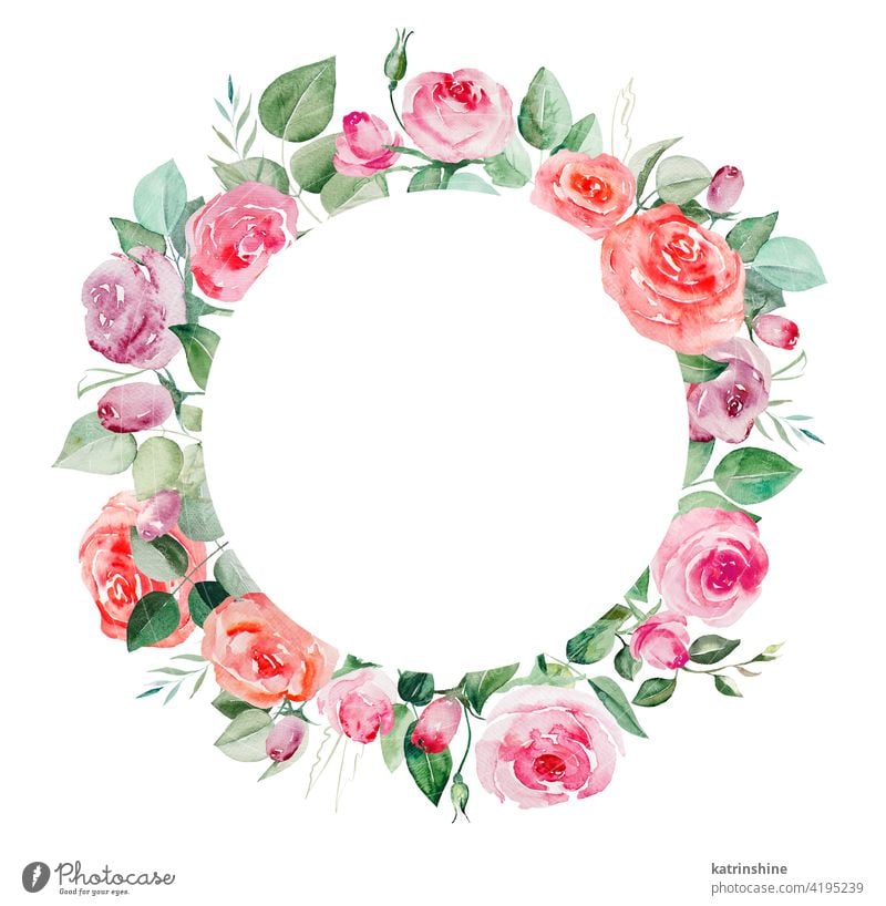 Watercolor pink and red roses flowers and leaves frame illustration watercolor buds blush wreath Drawing green geometric Botanical Leaf Round Hand drawn