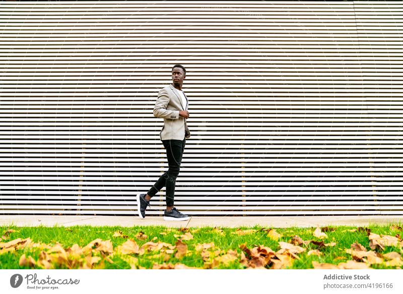 Stylish black man on urban pavement near ribbed wall stylish fashion masculine macho attentive model tiptoe town lawn sneakers trendy apparel faded leaf autumn