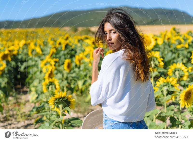 Young woman in sunflower field in summer carefree yellow bloom enjoy female happy stand nature positive meadow countryside young optimist natural idyllic