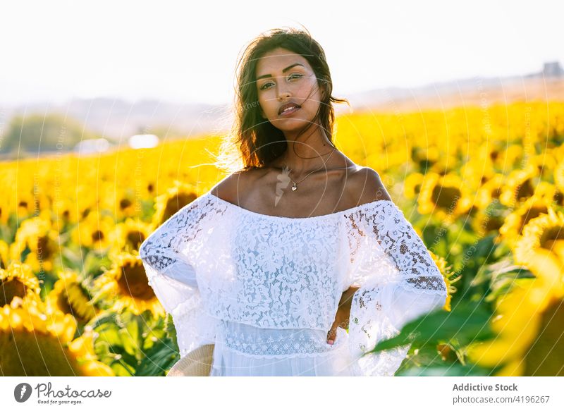 Young woman in sunflower field in summer carefree yellow bloom enjoy female happy stand nature freedom positive meadow countryside young optimist natural