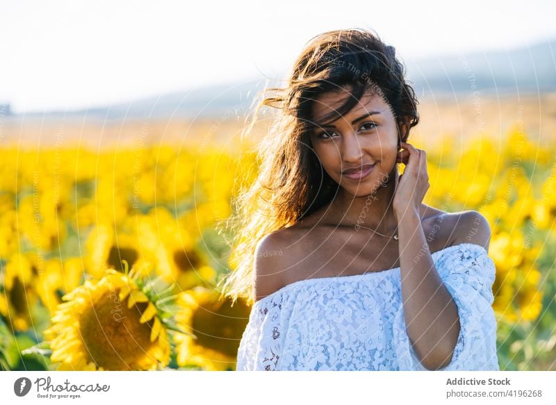Happy woman in sunflower field in summer carefree smile yellow bloom cheerful enjoy female happy stand nature freedom hand raised arms raised positive meadow