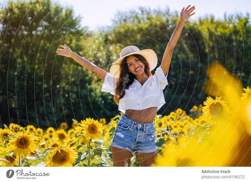 Happy woman in sunflower field in summer carefree smile yellow bloom cheerful enjoy female happy stand nature freedom hand raised arms raised positive meadow