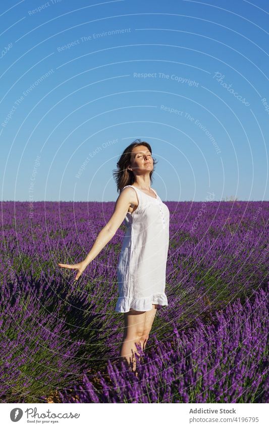 Happy young woman relaxing in lavender field in sunlight excited enjoy holiday eyes closed tourist flower happy vacation nature female white dress summer