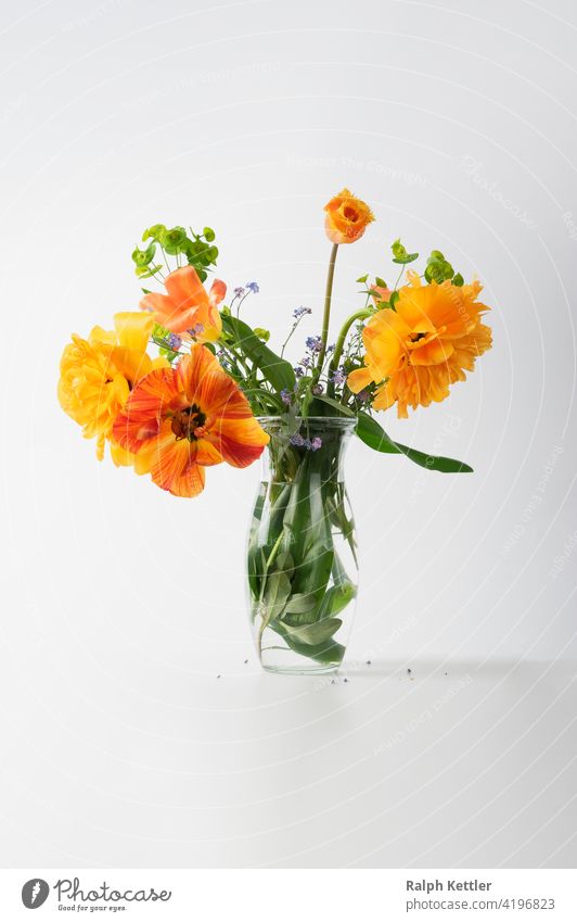 loose spring flower bouquet with tulips in a glass vase Flower vase luminescent Bright kind Still Life Floral Still Life Decoration Spring blossoms Green Orange